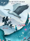 中超推荐：贵州人和vs北京国安