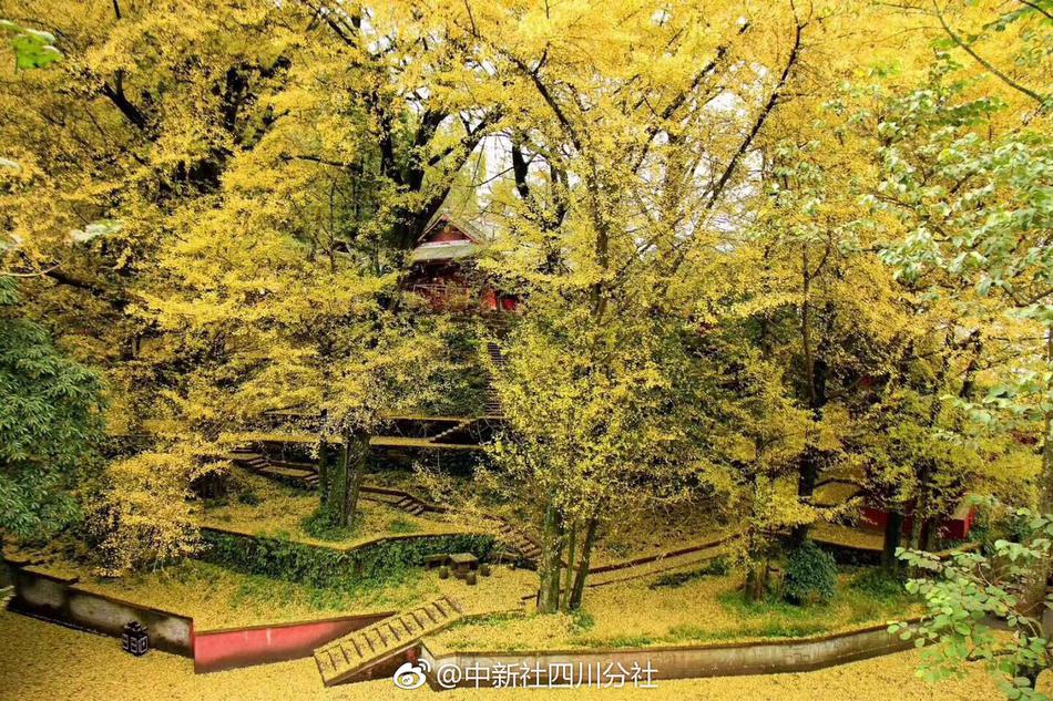 9日早报：马刺将续约博班 兰比斯进纽约教练组