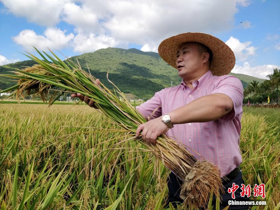 亚冠东亚区10月16日开战 比赛场地仍然待定