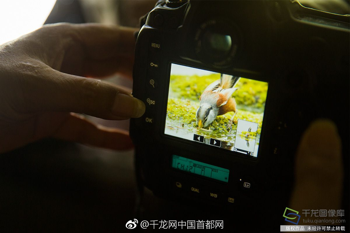伊朗等5国申办2027亚洲杯 明年确定举办国