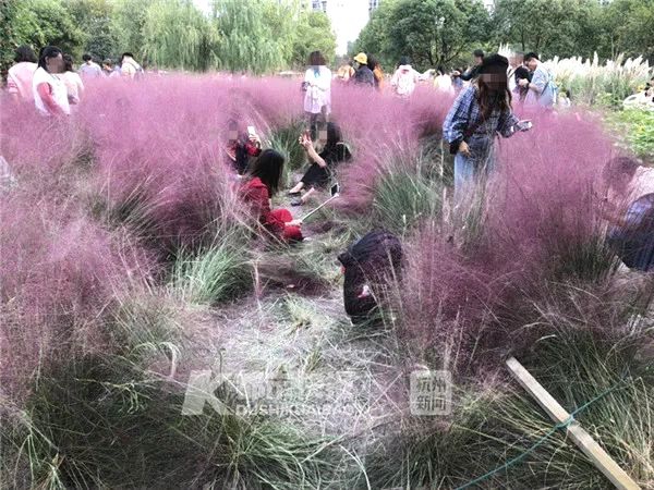 斯洛特当选lma年度最佳教练，但因球迷被撞事件决定不参加颁奖