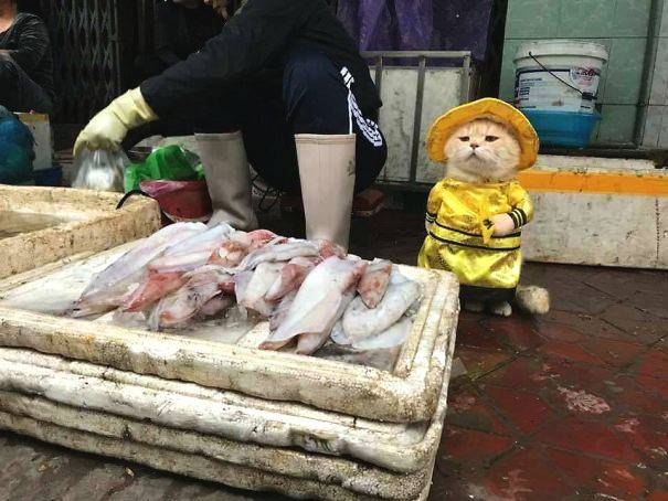 中国选手超越自我挑战高难度