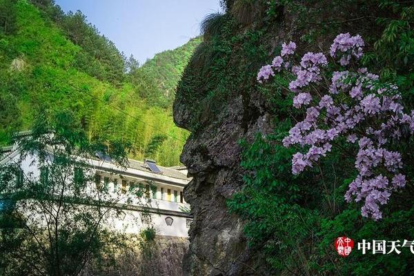 阿尔特塔：廷伯不会出战谢菲联，托马斯应该可以进入比赛名单