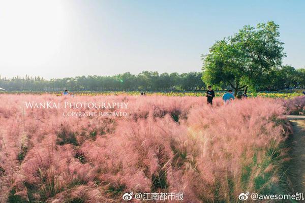 哈弗茨豪言：阿森纳客场也能赢，我们总能找到空间