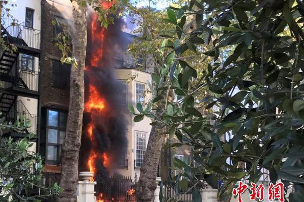 曝深圳主帅多纳多尼下课 张效瑞暂代主教练