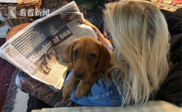 帕尔默续约切尔西至2033年：期待续写蓝军辉煌篇章
