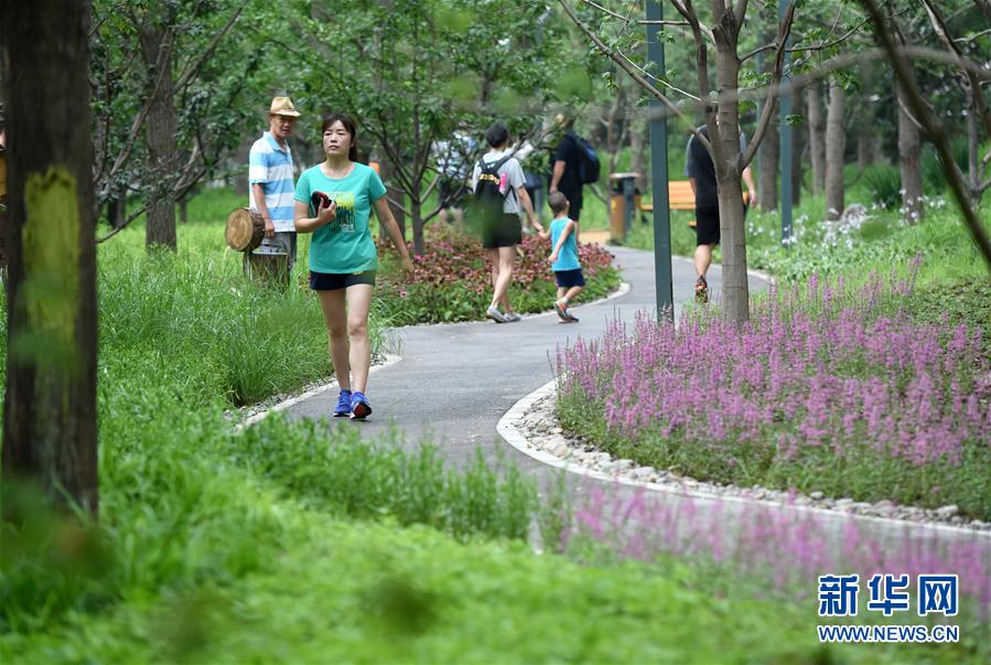 首届电竞奥运会将推迟至2027年 今年启动资格赛