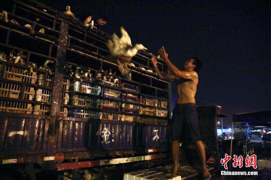 克洛普：这里的未来是美好的，我不想成为扰乱这一进程的过客