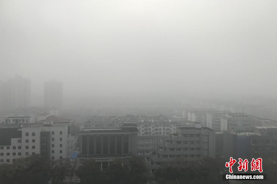 书豪传记：生涯跌宕起伏 重归纽约城寻回林疯狂