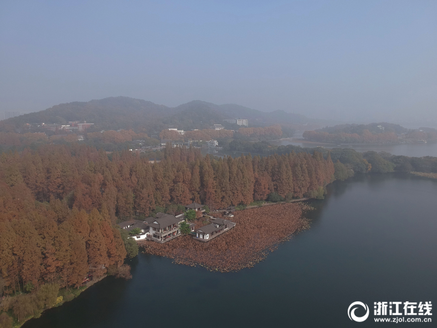 拉什福德拒沙特3500万英镑年薪，坚守曼联