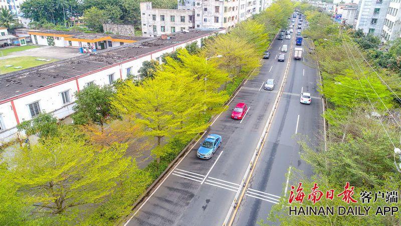 震撼回归！埃文斯十年后再为曼联头球建功