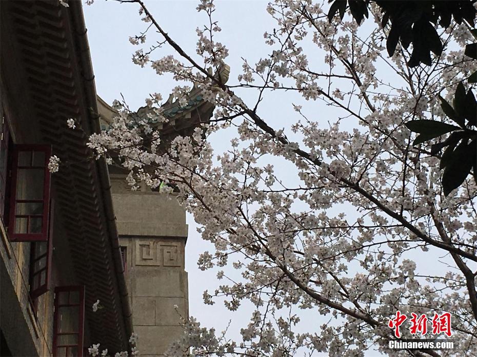 堪称中超外援性价比第一 阿尔斯：我只是个前锋
